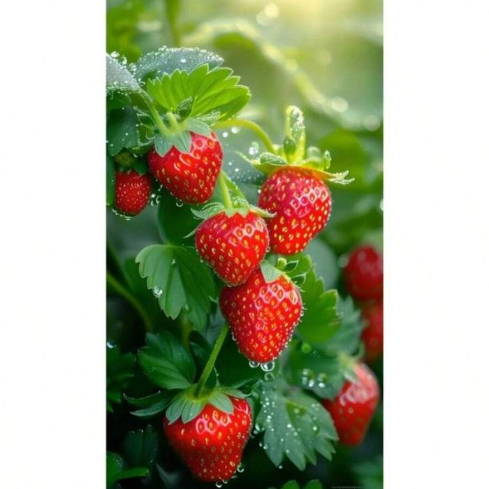 When to plant strawberries from seed