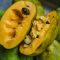 Can You Plant Pawpaw Seeds? A Comprehensive Guide