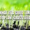 Can You Plant Grass Seed in Late Fall?