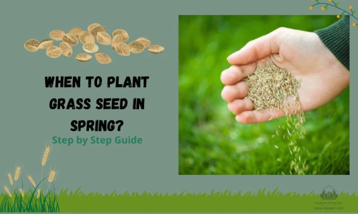 Can i plant grass seeds in september