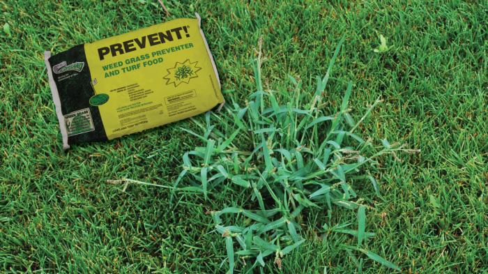 Crabgrass preventer