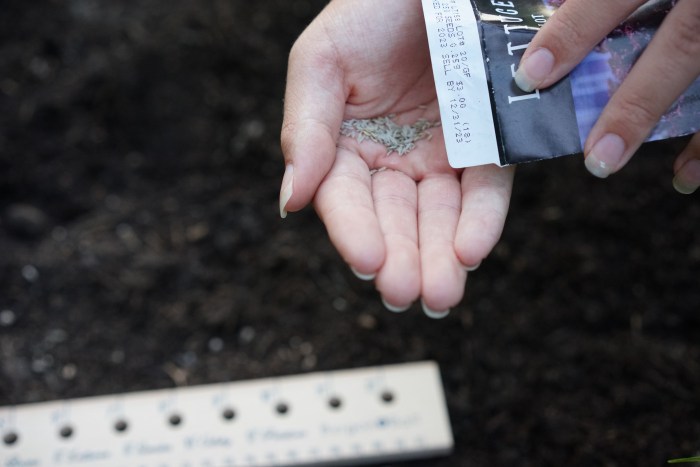 How far apart to plant lettuce seeds