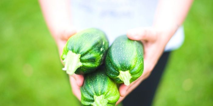 How deep do you plant zucchini seeds