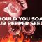 Do You Soak Pepper Seeds Before Planting?