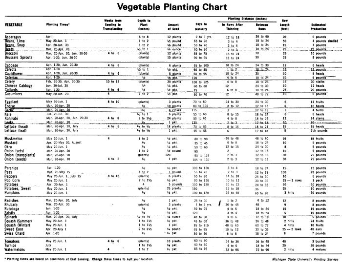 How deep should i plant my seeds