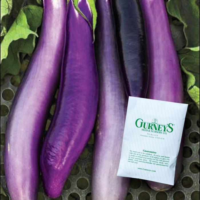 How deep to plant eggplant seeds