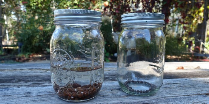 Soak planting herb