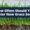 How Long to Water Newly Planted Grass Seed