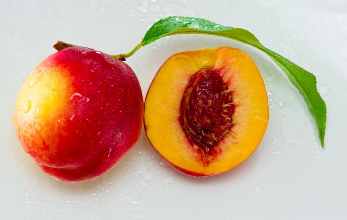 When to plant peach seed