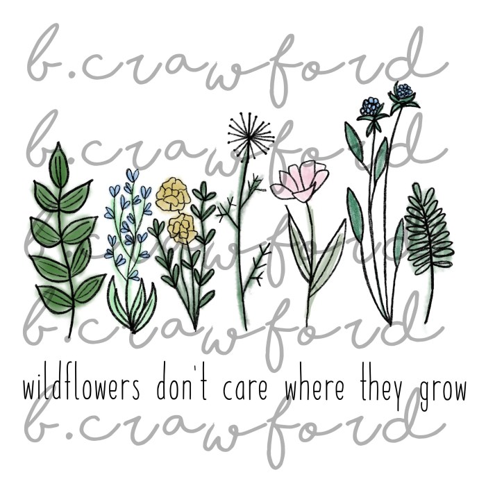 Can i plant wildflower seeds in the fall