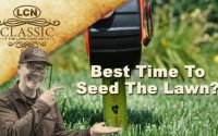 Grass time plant seed year spring lawn types area fall summer different country