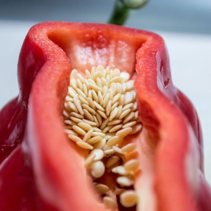 Can i plant red pepper seeds