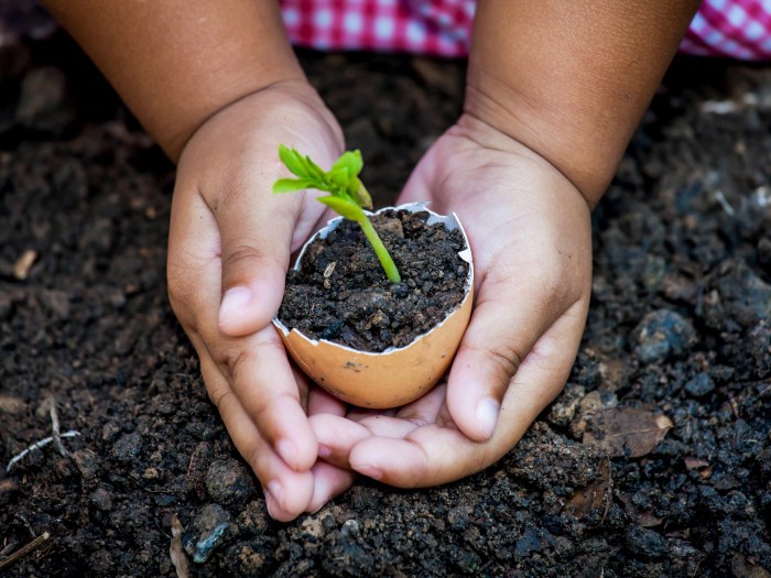 How many seeds do you plant together