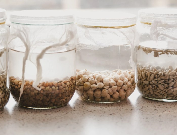 How long to soak pea seeds before planting