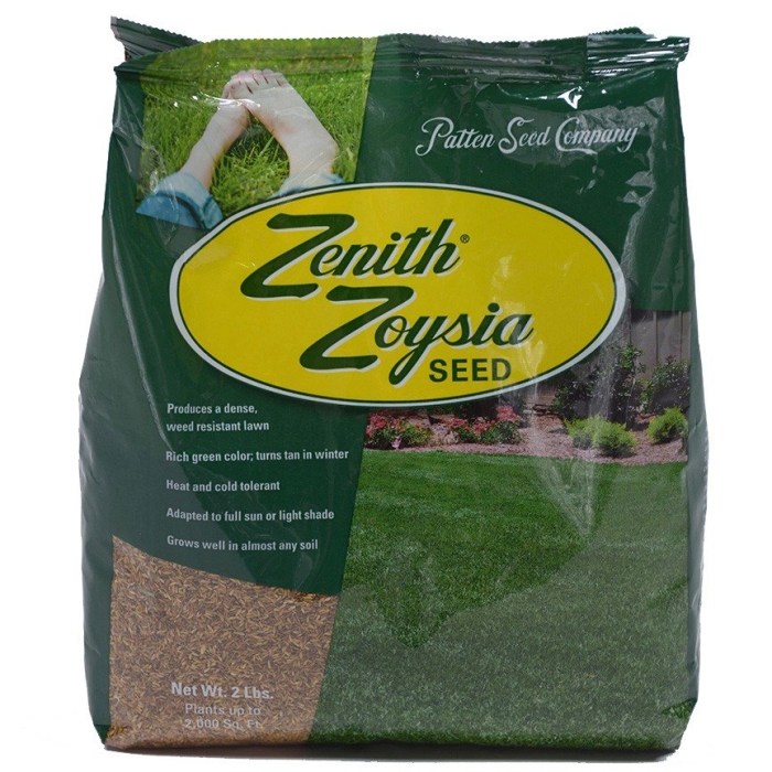 Can you plant zoysia grass from seed